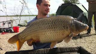 In jud Arad...monster carp Lake