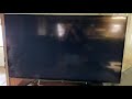 Black Screen Of Death Taken From Courage Of Black Beauty 1992 VHS