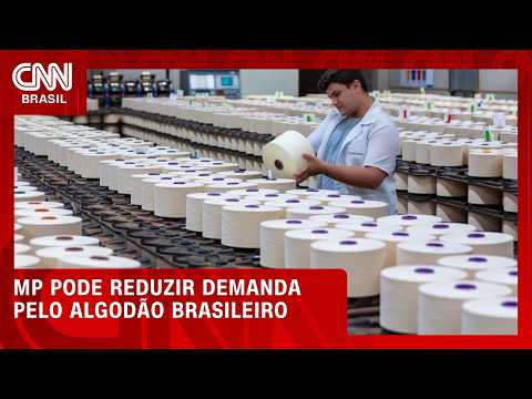 MP das blusinhas ameaça indústria têxtil e pode reduzir demanda por algodão | CNN AGRO NEWS