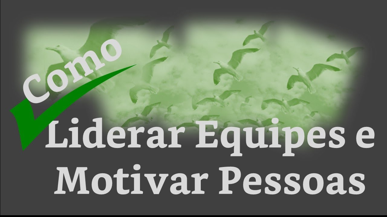 LÍDER E LIDERANÇA - Como Liderar Equipes E Motivar Pessoas