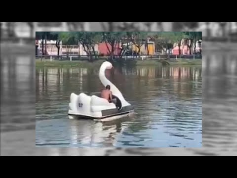 Fuga inusitada após furto em Rio Claro