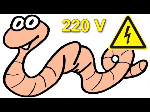 How to get earthworm by applying 220 volts to the ground