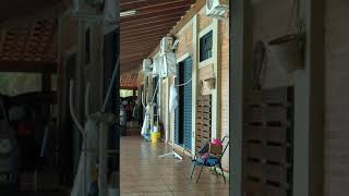 PARDO 060 