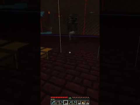 Nether Fortress Wither Skeleton Hunt