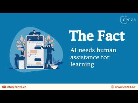 Human in the loop for effectively training legal AI & ML tools
