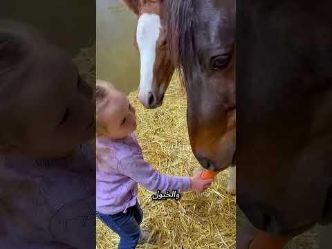 الخيول تنتظر رئيستها الصغيرة كل صباح! 🐴✨ #funny#shorts #reels