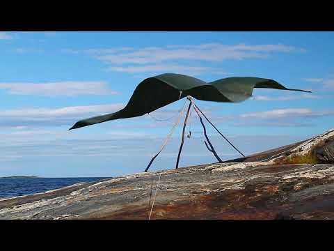 Arseniy Lapin - White Sea Tales