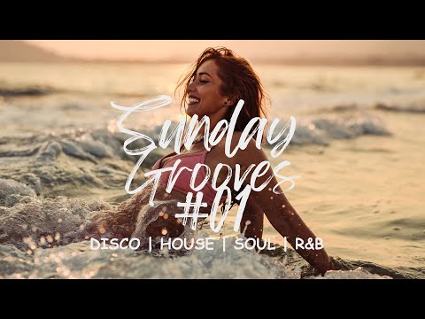 Best funky disco soul classics, Funky House ファンキーハウス, Nu Disco ニューディスコ, Soul, R&B #dj #djmix #disco