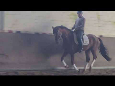 DonDarius - Wilawander