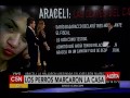 C5N - Araceli Fulles: Trabajan Los Peritos Donde Fue Hallada Araceli