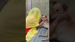 Download lagu Very funny गेहूं katwane ka WhatsApp status mp3 Download lagu Very funny गेहूं katwane ka WhatsApp status mp3