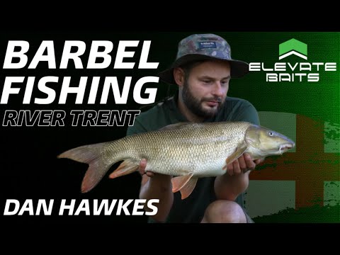 Big Barbel Fishing On The River Trent with Dan Hawkes | Elevate Baits