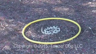 A Positive Rattlesnake Avoidance Training and Safety Program - Pamela Johnson