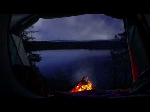 Pioggia Rilassante nella Foresta Nebbiosa per Dormire in 5 Minuti - Pioggia e Temporale sulla Tenda