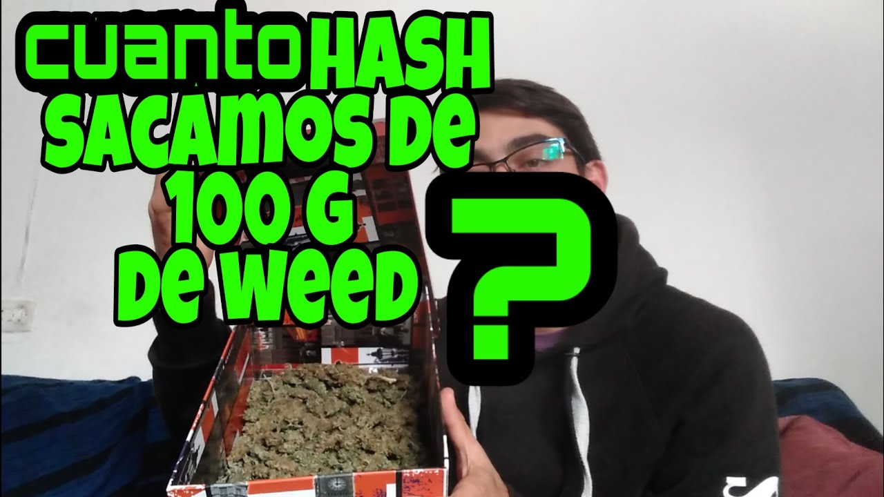 ¿cuanto HACHIS sacamos de 100g de WEED[( ESPECIAL 100 SUSCRIPTORES )]