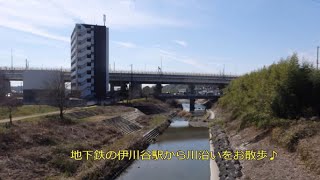 2019.03.09 お散歩動画・伊川沿いに朝霧まで