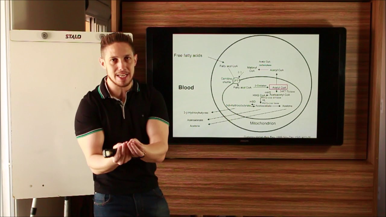 Diabético tipo I e Mecanismos Fisiológicos da Cetoacidose Diabética