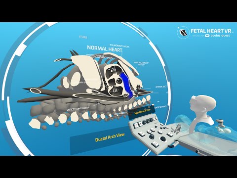 Fetal Heart VR trailer