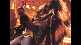 Ted Nugent - Heart & Soul