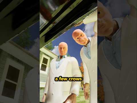 Why You Should Never Make a Crow Angry