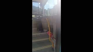 IVECO Crossway &Uuml;berlandbus | Bild 4 - Autoline