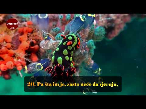 Sura El Inšikak (Cijepanje) 84