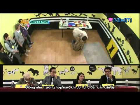 [vietsub] birth of a family - infinite cut ep1