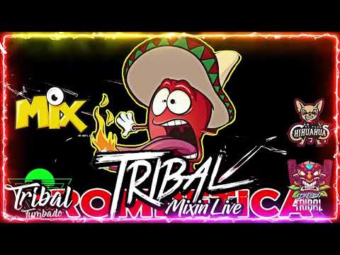 Tribal Mega Mix Febrero 2022 🔥 Lo Mas Chingon Del Tribal Mix 🔥 Tribal Tumbado Mix HD Sound