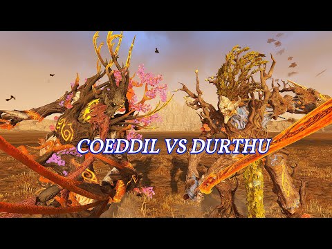 Coeddil vs Durthu. Battle Testing. Total War Warhammer 2