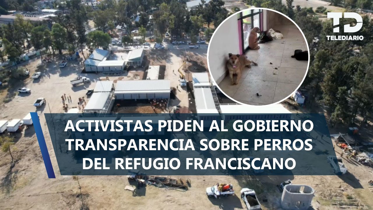 Acusan condiciones indignas sobre perros rescatados del refugio Franciscano en deportivo Los Galeana