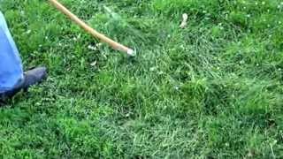 Scythe Fest 2013: Mowing a Lawn