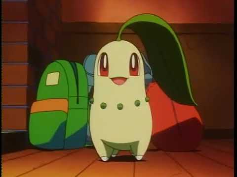 Chikorita sleeps besides ash