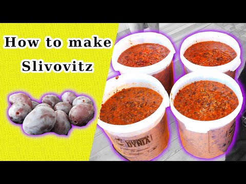How To Make Homemade Plum Brandy - Slivovitz