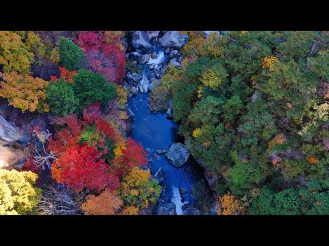 空から紅葉の絶景スポットを巡る ～Breezing through Kofu　そよ風にのって甲府へ～