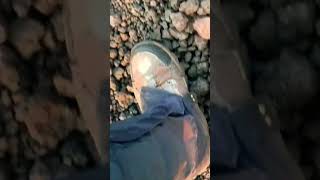 Download lagu summit gunung guntur mp3 Download lagu summit gunung guntur mp3