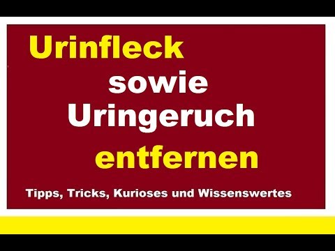 Kniefraktur Salbe aus den Gelenken des Altai