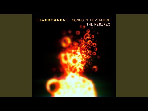 Pacific Coast Highway 2017