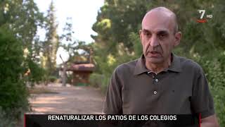 Renaturalización de patios escolares