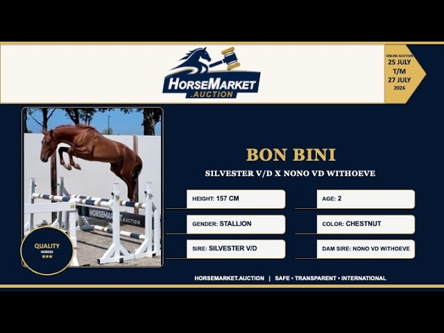 Bon Bini V.I.P.