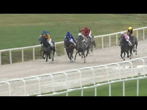 2020.06.14. 03. futam - BAKONYI DÍJ (V.kat.) (szintetikus pálya)