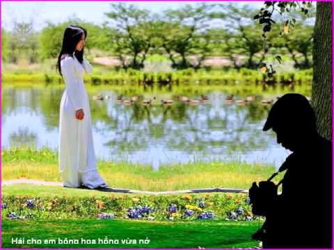 Bông hoa vườn dị thảo Sheet - Thụy Vân