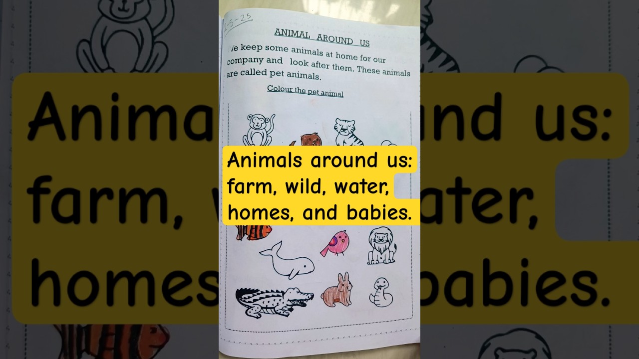 EVS practice worksheets: Animals- farm, wild, water, homes and babies | Summer break worksheets |