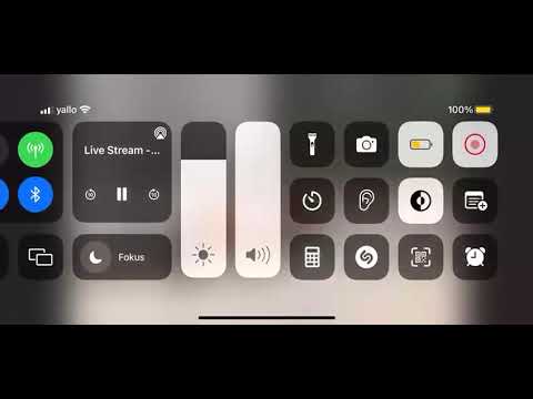 Antonia Winnewisser mit PAV Nobility