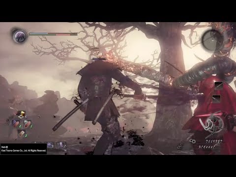 Nioh - DLC Dragonf of the North - Disturbances in the North