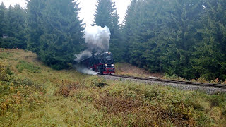 preview picture of video 'Harzer Schmalspurbahn bei Benneckenstein'