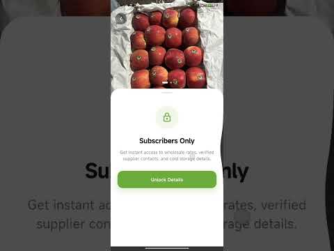 Lolo Fruits