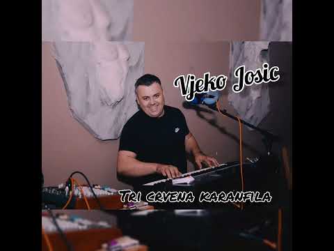Vjeko Josic - Tri crvena karanfila (Cover 2023)