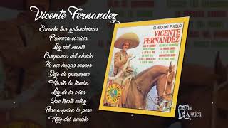 Escuche las golondrinas Vicente Fernandez Album completo