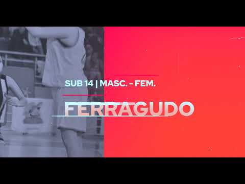 | DIRETO | Basquetebol - Camp. Regionais (Finais 2022)