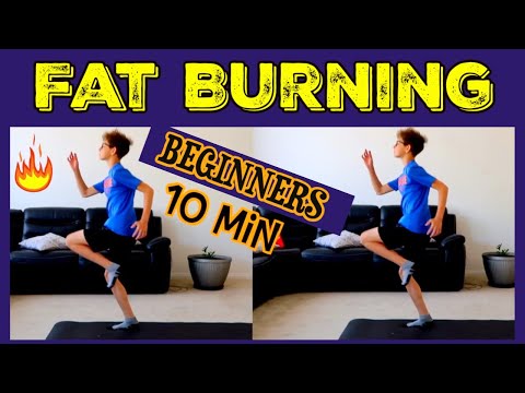 Fat Burning Workouts/Exercises to Lose Belly Fat for Beginners,Teens at Home/træning for begyndere